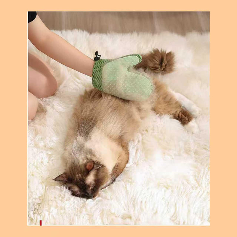 Pet Hair Remover Gloves Bath Brush Gentle Shedding Brushes,Pet Hair Remover Tool for Carpet, Curtain, Clothing, Couch, Car Seat (Green) green - PawsPlanet Australia
