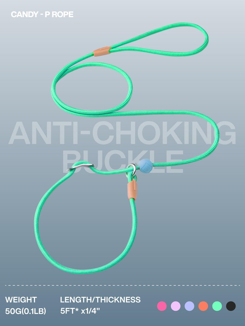Slip Lead Dog Leash, Adjustable Slip Lead with Aviation Aluminum Anti-Choking Stopper, Lightweight Pet Training Lead Green-5Ft - PawsPlanet Australia