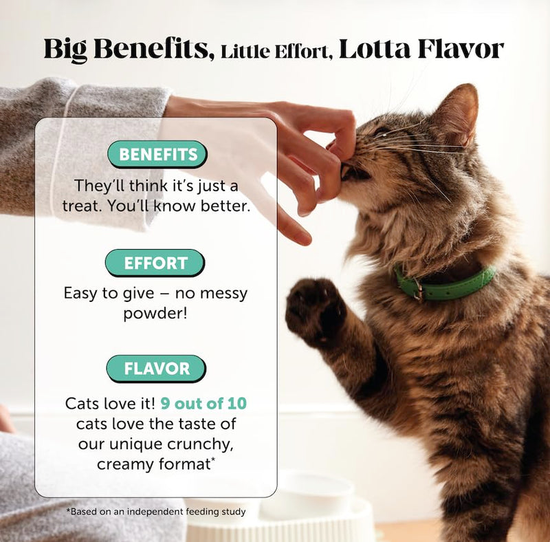 Fresh Breath Dental Bites for Cats – Crunchy & Creamy Cat Dental Treats for Fresh Breath, Tartar & Plaque Control – Dual-Texture Cat Oral Care Bites for Bright Teeth & Healthy Gums – 90 Day Supply - PawsPlanet Australia