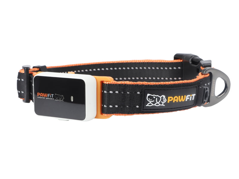 Pawfit 3 Series Collar, Nylon Dog Collar with Safety Buckle, Adjustable Pet Collars with Quick Release Buckle (Black & Orange, Extra large) Black & Orange - PawsPlanet Australia
