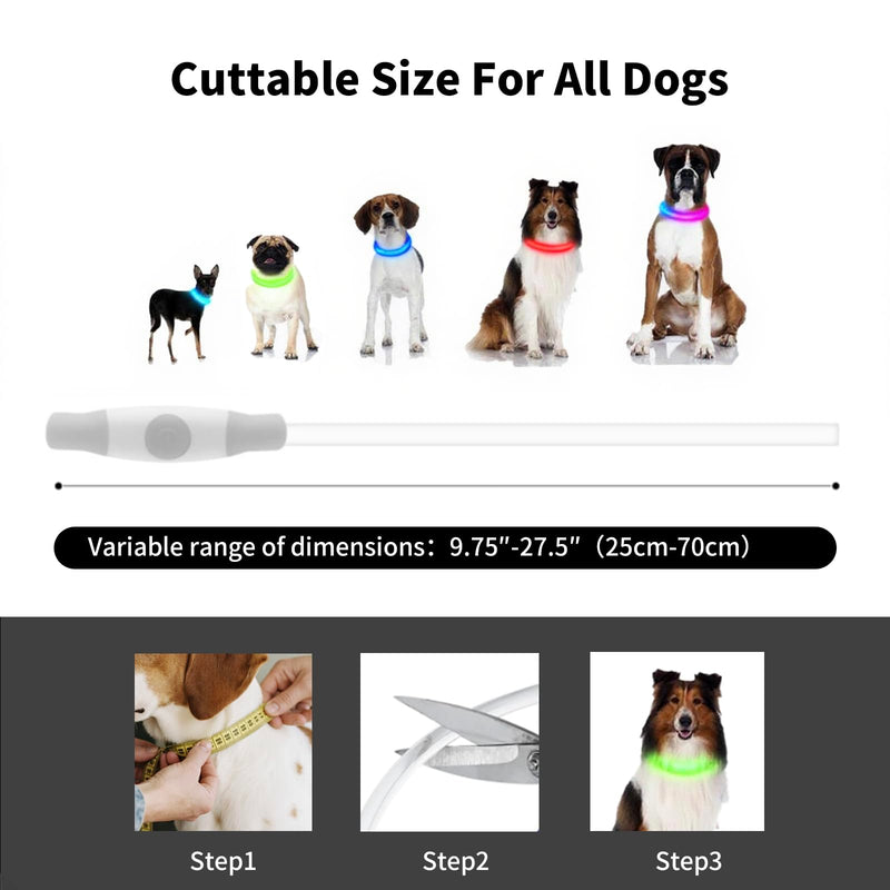 Light Up Dog Collar Super Bright Led Dog Collar with RGB Lighting Modes, Type-C Rechargeable & Waterproof Glow in The Dark Collar for Small Medium Large Dogs 70cm Cutable Collar Night Walking Safety - PawsPlanet Australia