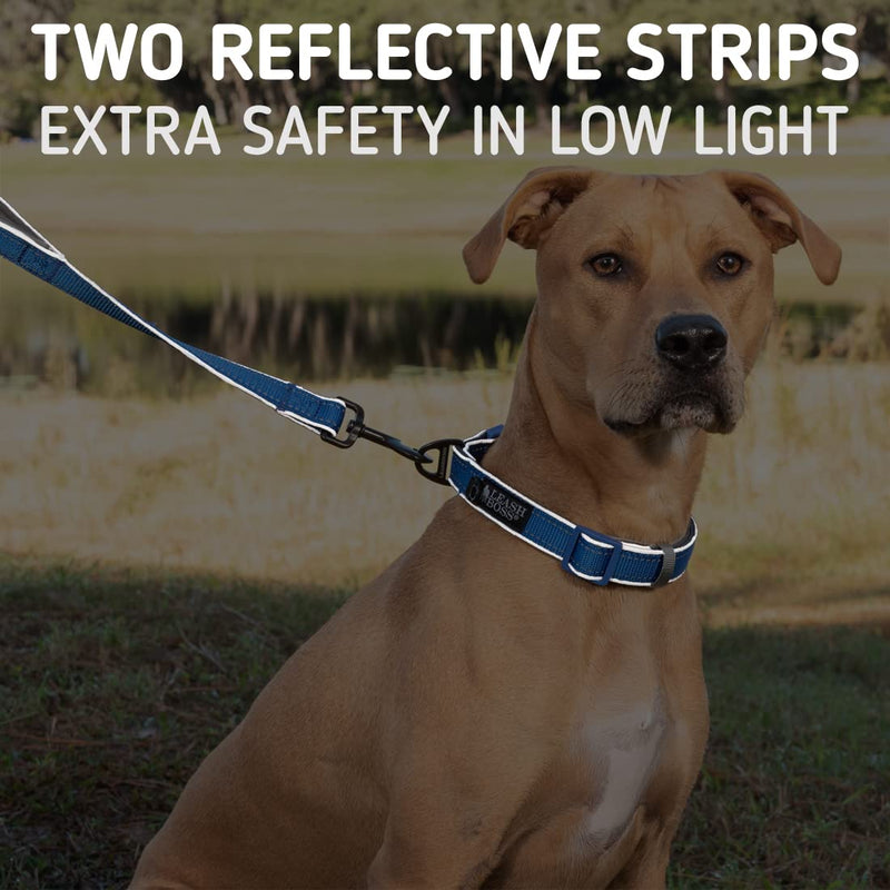 Leash Boss 6ft Ultra Comfort Double-Thick Soft Padded Handle Reflective Leash for Large and Medium Dogs, Heavy Duty for Large Breeds, Nylon for Small Dogs/Puppies 6 Ft x 1" Wide Aqua
