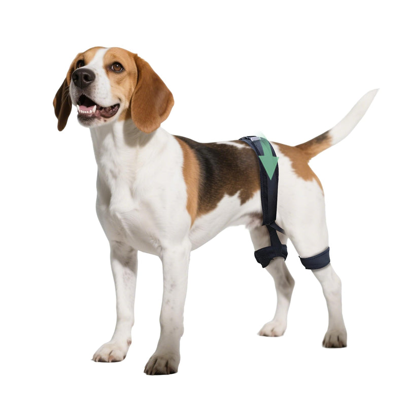 Adjustable Dog Leg Brace for Hip Dysplasia,Breathable & Supportive Dog Hip Brace for Pain Relief, Preventing and Improving Joint Dysplasia Hip Brace for Dogs,L Large