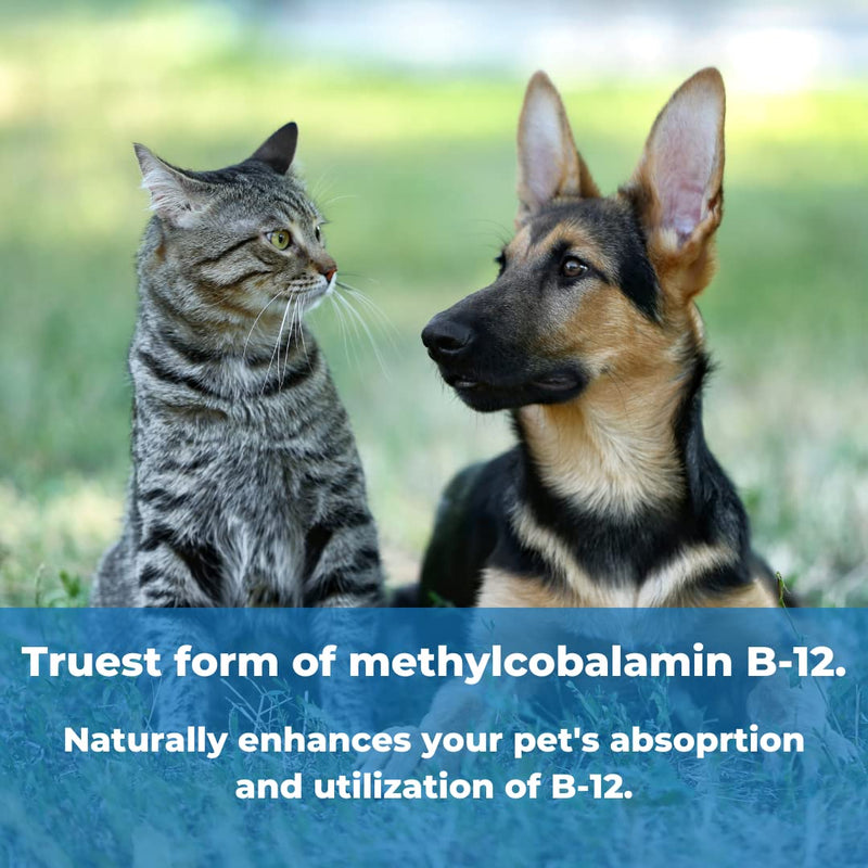 WonderLabs Pet Factor B-12 | Vitamin B-12 in Methylcobalamin Form | Popular in Treatment of EPI in Dogs 180 - PawsPlanet Australia