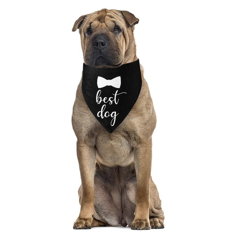 2 Pack Dog Bandana for Wedding Engagement and Birthday,Triangle Pet Scarf for Dog Lovers,Suitable for Small Medium Large Boy Girl Dog. - PawsPlanet Australia