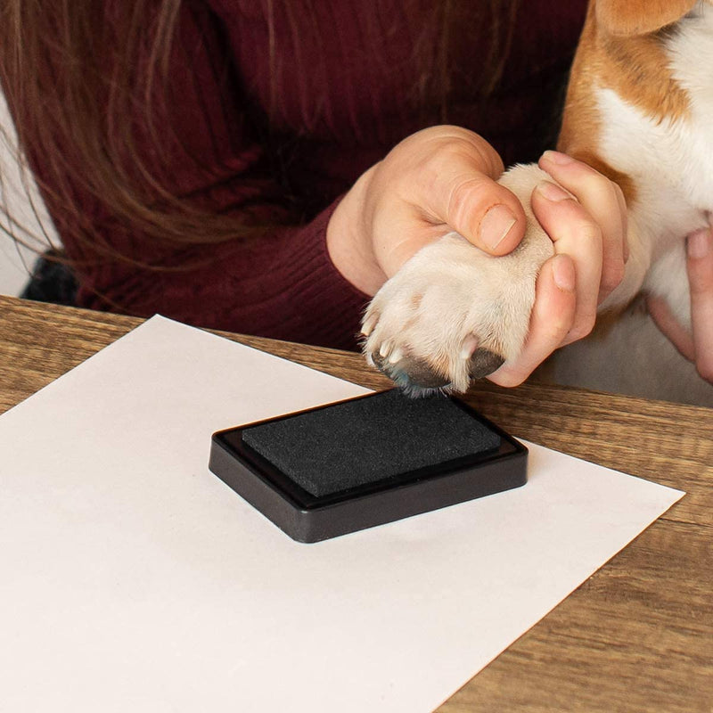 Pet Paw Print Impression Kit | Dog Ink Paw Print Kit | Pet Paw Print Kit | an Easy to Use Paw Print Stamp Pad for Dogs | Contains an Ink Pad for Dog Paw Prints That You Can Treasure (Black, Big) Black - PawsPlanet Australia