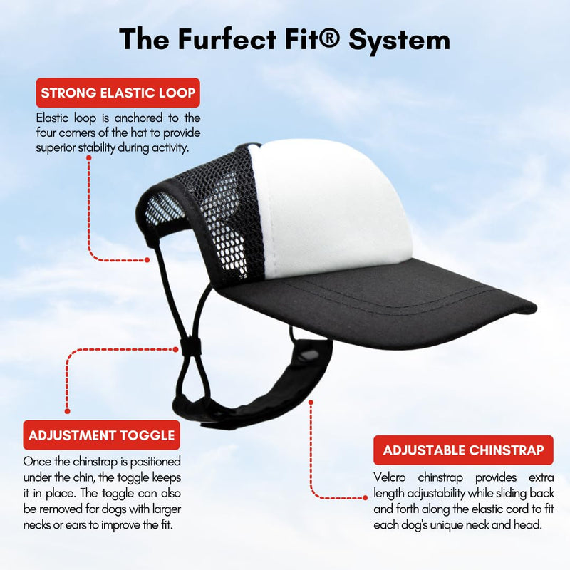 Brazil Collection, PupLid Trucker Hats for Dogs l Premium Stylish Sun Protection for The Modern Dog - Adjustable for Secure Comfortable Fit on Active Dogs (Small, Brazil Flag) Small - PawsPlanet Australia
