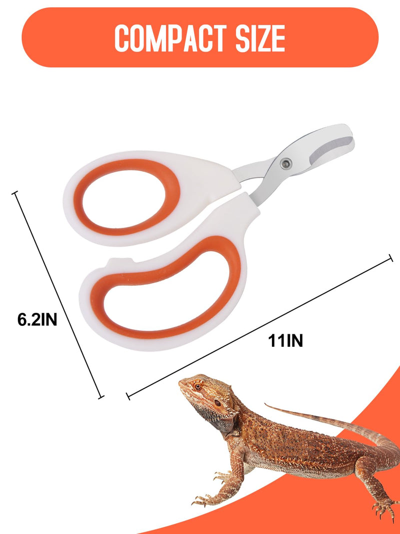 Stainless Steel Bearded Dragon Nail Clippers,Lizard Nail Clippers,Bearded Dragon Supplies,Bearded Dragon Nail Scissors for Small Reptiles,Turtle,Chameleon,Iguana，Hedgehog（Orange） Orange - PawsPlanet Australia