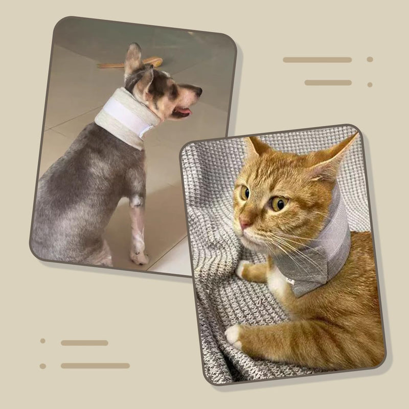 Cat Neck Brace Elizabethan Collar for Pet After Surgery Recovery Adjustable Breathable Neck Cervical Cone for Small Medium Dogs Puppies Kittens with Spinal IVDD Issues (X-Small,Grey) XS Grey - PawsPlanet Australia