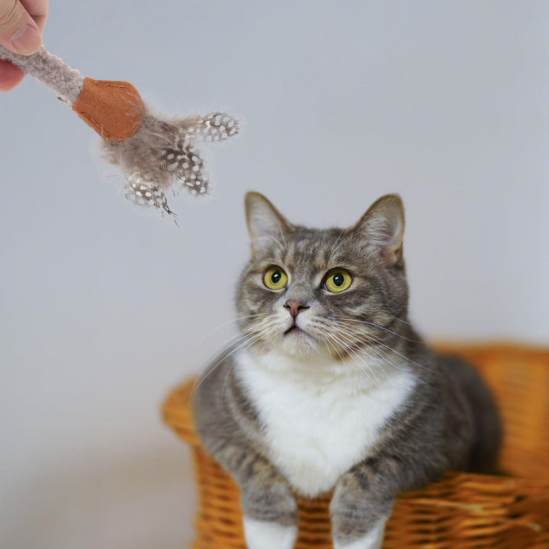 Kichvoe 5 Pieces Natural Matatabi Chews Cat Chew Toys Dental Cleaning Toys Portable Stress Relief for Kittens and Cats At Home On the Go