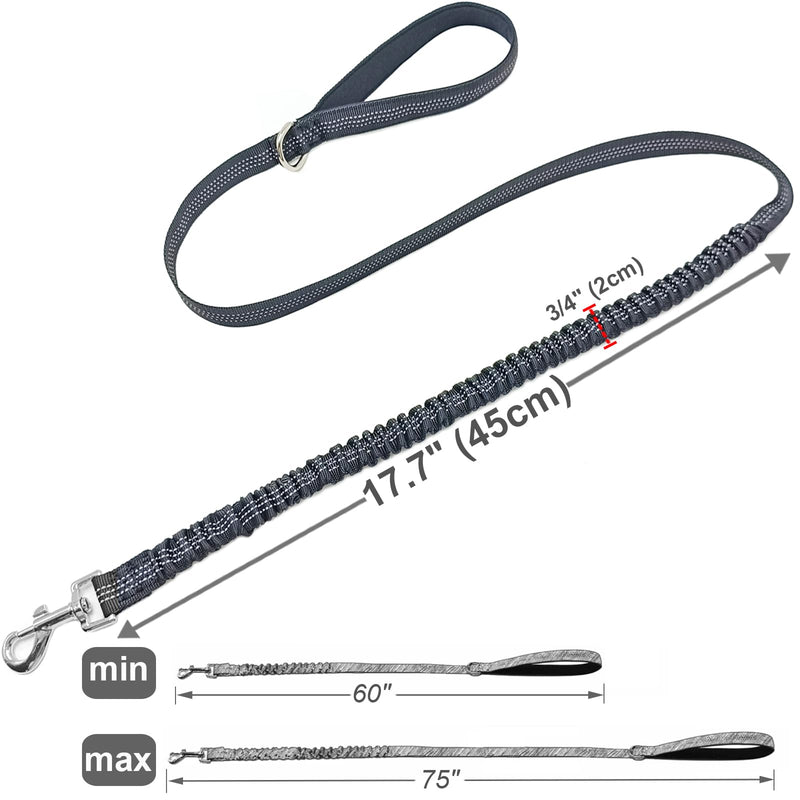 Bungee Dog Leash- 5FT Shock Absorbing & Reflective Nylon Leash| Anti-Pull Training for Small/Medium Dogs | 2cm Wide, 6 Colors (Black) Black - PawsPlanet Australia