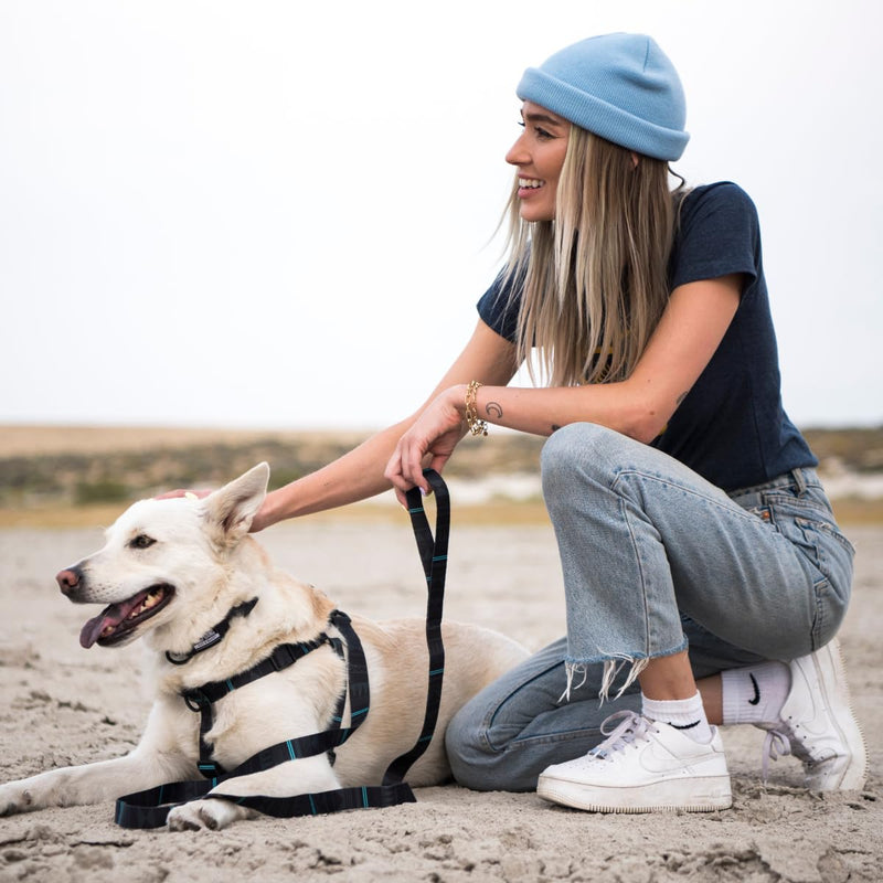 Wolfgang Premium Martingale Dog Collar for Medium Dogs, Durable & Easy to Clean Nylon Dog Collar with Quick Clip Buckles, for Training & Daily Use, Made in USA, NightOwl Print, (1 Inch x 14-18 Inch) Medium (1 Inch x 14-18 Inch) - PawsPlanet Australia