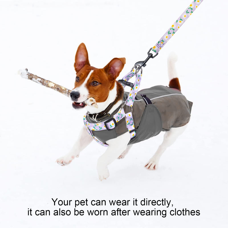 BEAUTYZOO No Pull Dog Harness and Leash Set - Adjustable Step-in Puppy Harness for Small Medium Large Dogs, Escape Proof Soft Nylon Vest with Double D Ring for Walking Running Training, Purple S S(Chest:15-21") Purple Flowers - PawsPlanet Australia