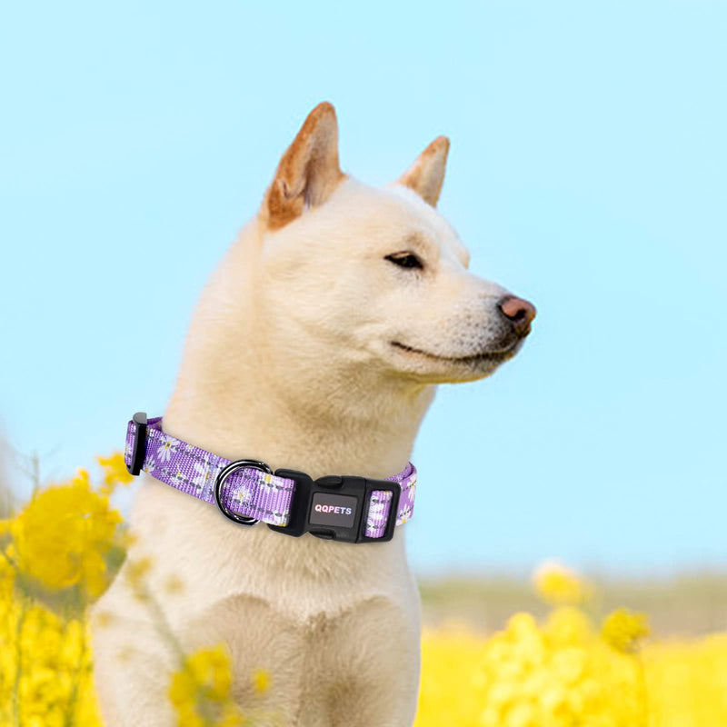 Reflective Dog Collar Leash Combo: Puppy Small Medium Large Adjustable Cute Matching Collar Set for Pet Girl/Boy Comfy Easy Walk Running Outdoor Hiking (XS Small, Purple) XS Small - PawsPlanet Australia