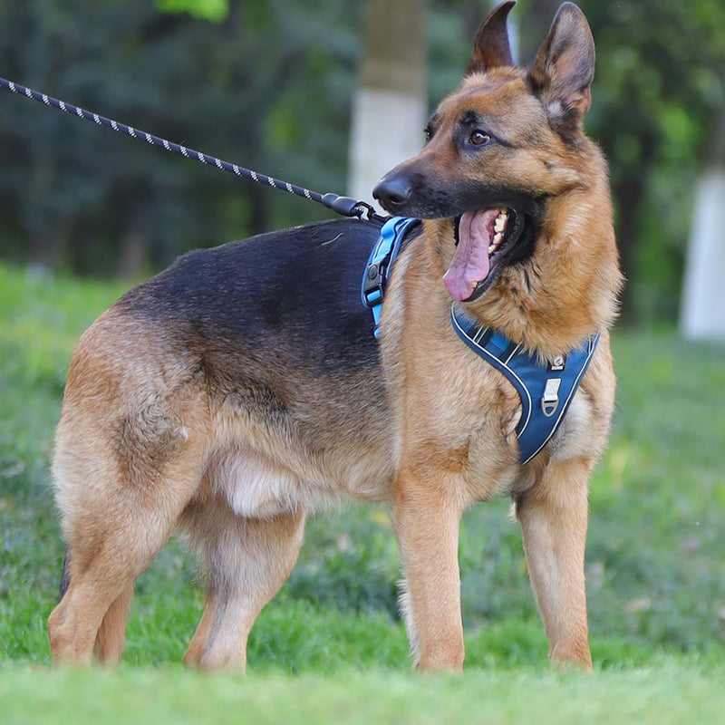 Dog Harness with Handle Tactical Large,No Pull Adjustable Reflective Military Dogs Vest for Labrador Retriever,Husky, German Shepherd Dog (Sky Blue, X-Large) Sky Blue - PawsPlanet Australia