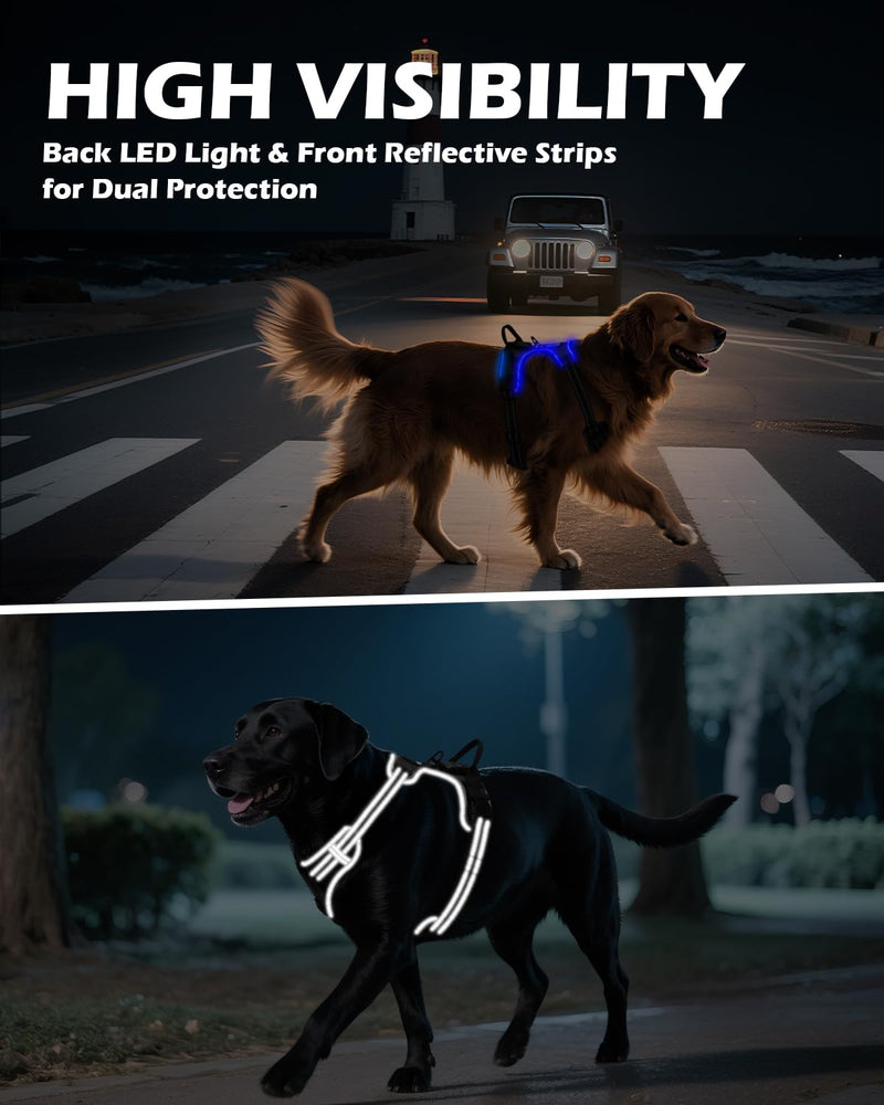 Joytale Light Up Dog Harness, No Pull Dog Harness USB Rechargeable for Night Walking with 3 Lightning Modes and Soft Handle, Adjustable Reflective Lighted Safety Vest,Black-Blue,M Medium Black-Blue - PawsPlanet Australia