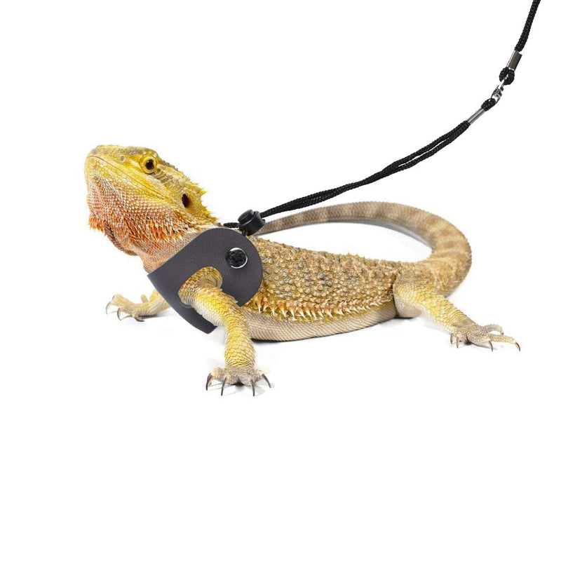 Bearded Dragon Harness and Leash Adjustable(S,M,L, 3 Pack) - Soft Leather Reptile Lizard Leash for Amphibians and Other Small Pet Animals - PawsPlanet Australia