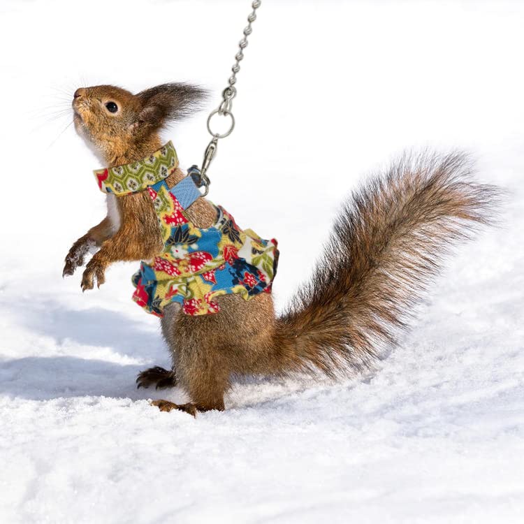 Squirrel Leash and Harness Vest Set, Adjustable Flora Small Animal Traction Rope Strap for Ferret, Squirrel, Dwarf Chinchilla, Guinea Pig, Fancy Rat Blue Printing - PawsPlanet Australia