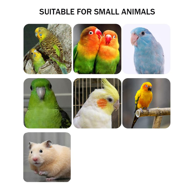 Hamiledyi 5 Pcs Parrot Perch Stand Natural Wood Bird Perch Stand Platform Paw Grinding Sticks Cage Accessories Exercise Toys for Budgies Parakeets Cockatiels Conures Lovebirds 5PCS - PawsPlanet Australia