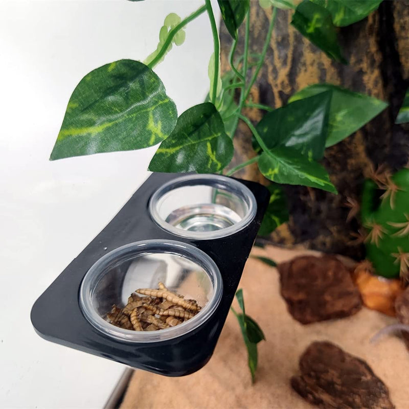 1oz Crested Gecko Food Cups, 100Pcs Reptile Plastic Feeding Dish - PawsPlanet Australia