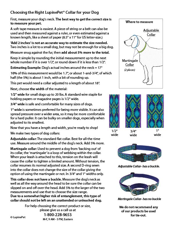 Lupine Small Dog Collar 1/2" Wide Petunias Adjusts from 10" to 16" 1/2"wide, adjusts 10-16-inches