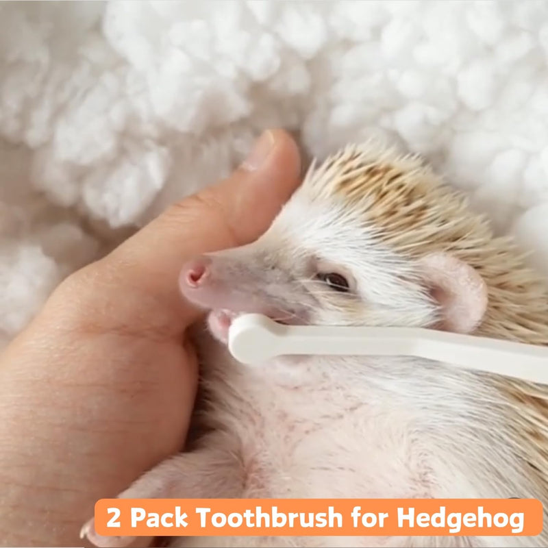 2 Pcs Pet Toothbrush for Hedgehog Small Animal Toothbrush Mini Head Soft Bristles Gentle Pet Toothbrush for Small Pets Dental Care Hedgehog Supplies Hedgehog Grooming Accessories (2 Pack) 2 Pack - PawsPlanet Australia