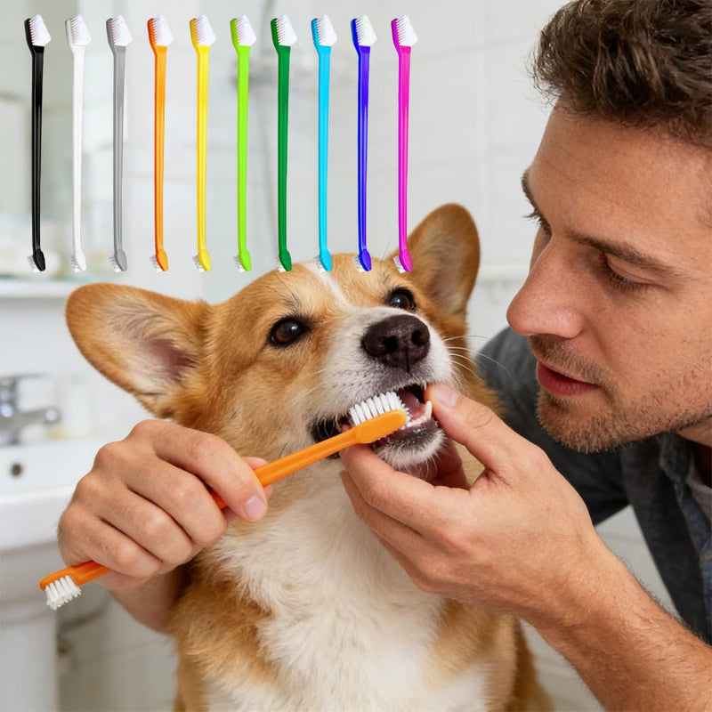 10-piece set of double-headed pet toothbrushes: Dog toothbrush for dogs and cats, long-handled dog toothbrush with soft bristles, Emmi Pet dental care set