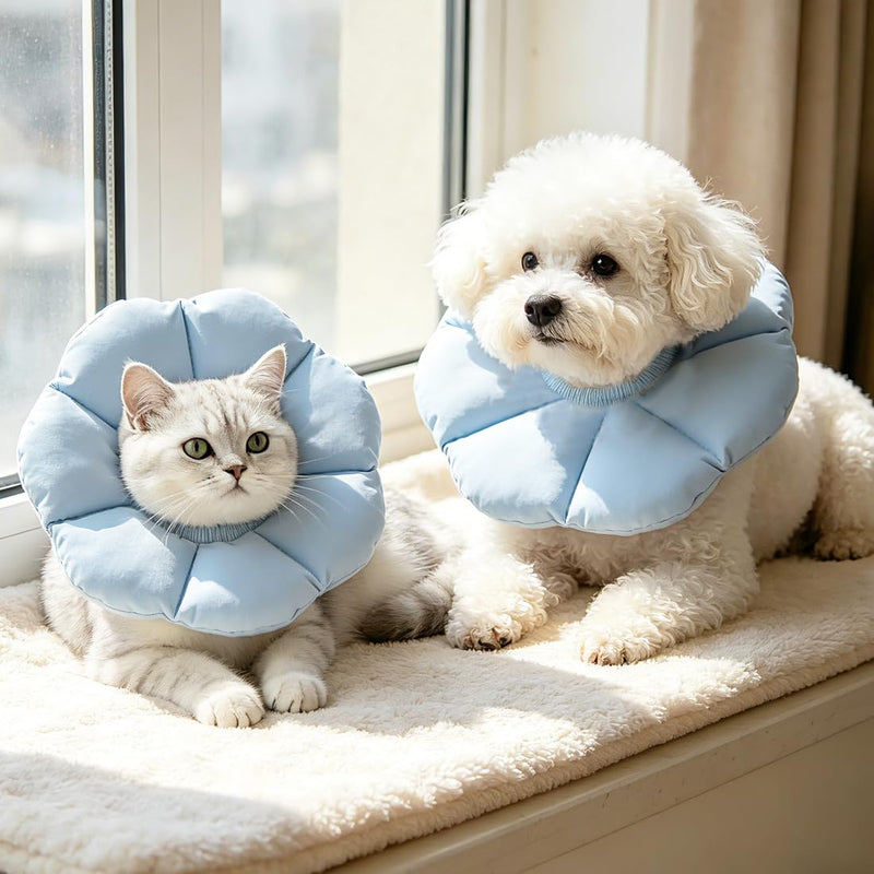 Cat Collar Size M, Large Diameter Cat Collar, Adjustable Lick Protection Cat, Soft Collar for Cats Small Dogs After Surgery, Elizabethan Collar, Blue Blue Ball Orange-2