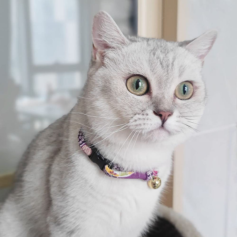 PetSoKoo Cat Collar with Kitty Face Bell. Cute Japan Chirimen Kitten Collar. Soft & Lightweight. Standard (6-13inch,16-32cm) Purple