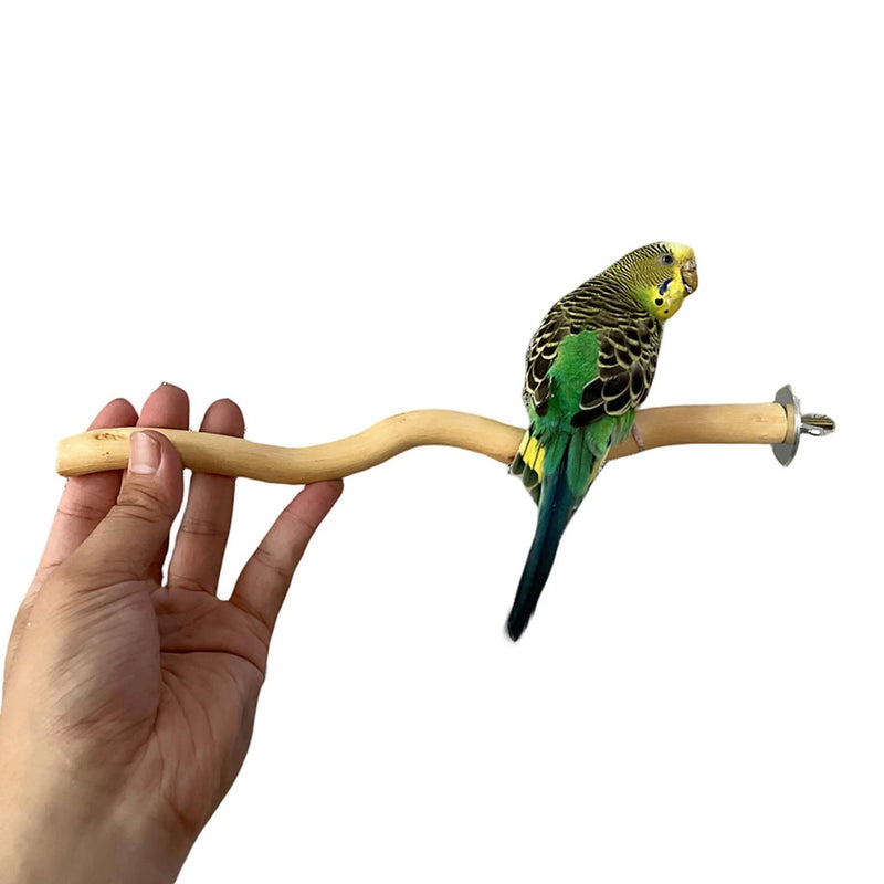 Allazone 5 PCS Natural Parrot Perch Bird Stand Wooden Parrot Perch Stand Parakeet Climbing Standing Branches Toy for Small Lovebirds Budgies Cockatiels