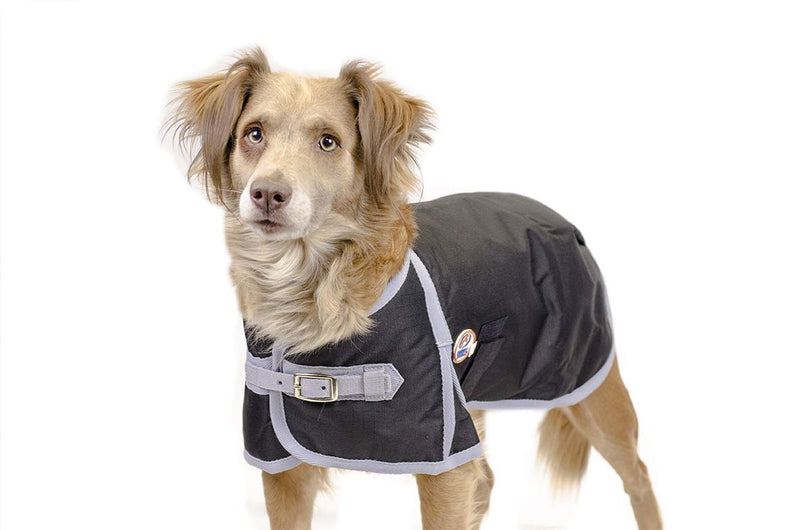 Derby Originals Horse Tough 600D Ripstop Waterproof Winter Dog Coat 150g Medium Weight 22 in Purple