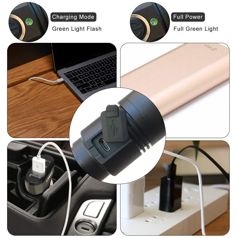 395nm UV Flashlight, Rechargeable Black Light Flashlight, LED Flashlight IP65 Water-Resistant Pet Urine Detector for Dog Cat Stains, Scorpion, Bed Bug, Household - PawsPlanet Australia