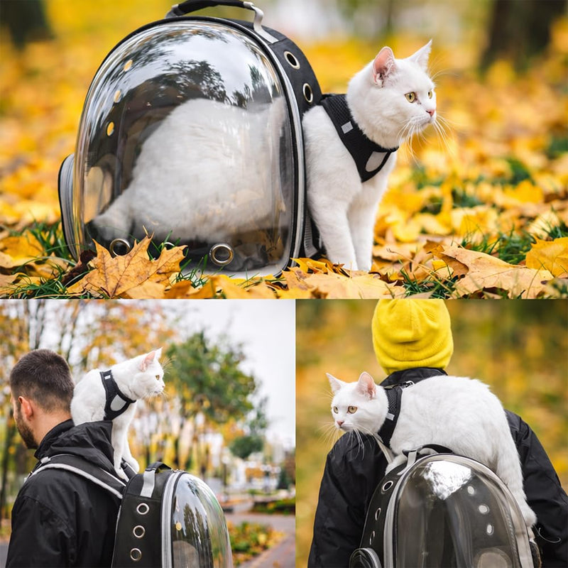 Cat Carrier Backpack, Airline Approved Bubble Pet Carrier Backpack for Small Medium Dogs Cats, Transparent Space Cat Backpack for Hiking Camping Travel Outdoor Use - PawsPlanet Australia
