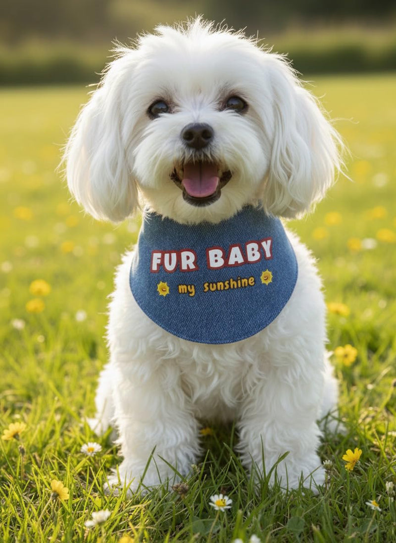 Denim Dog Bandana – Fur Baby Print, Soft & Durable Pet Scarf with Adjustable Metal Snap Buttons for Dogs & Cats (X-Large) X-Large - PawsPlanet Australia