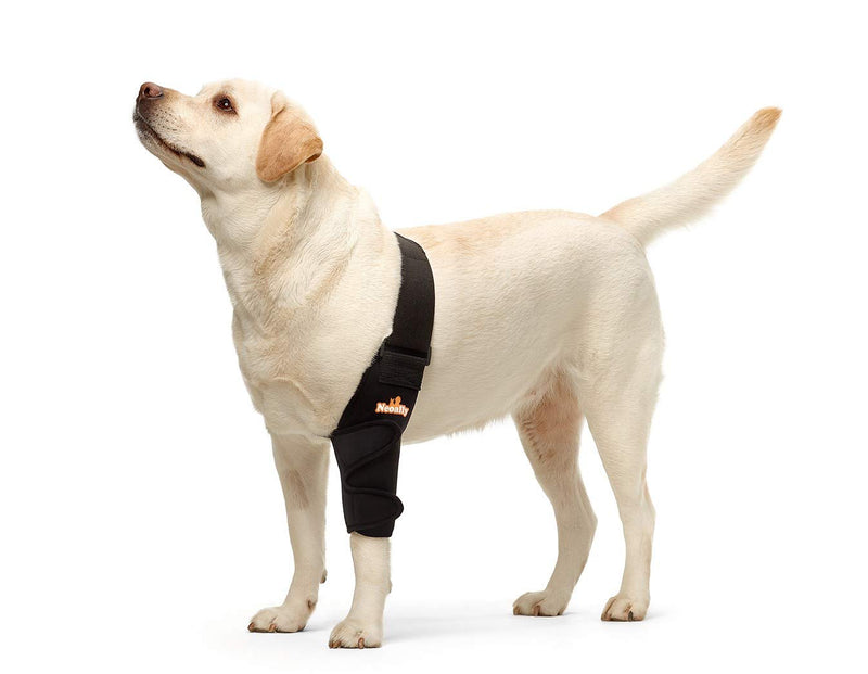 NeoAlly Dog Elbow Brace Protector Pads for Canine Elbow and Shoulder Support Elbow Hygroma, Dysplasia, Osteoarthritis, Elbow Calluses, Pressure Sores and Shoulder Dislocation (Left Leg, Large) Left Leg