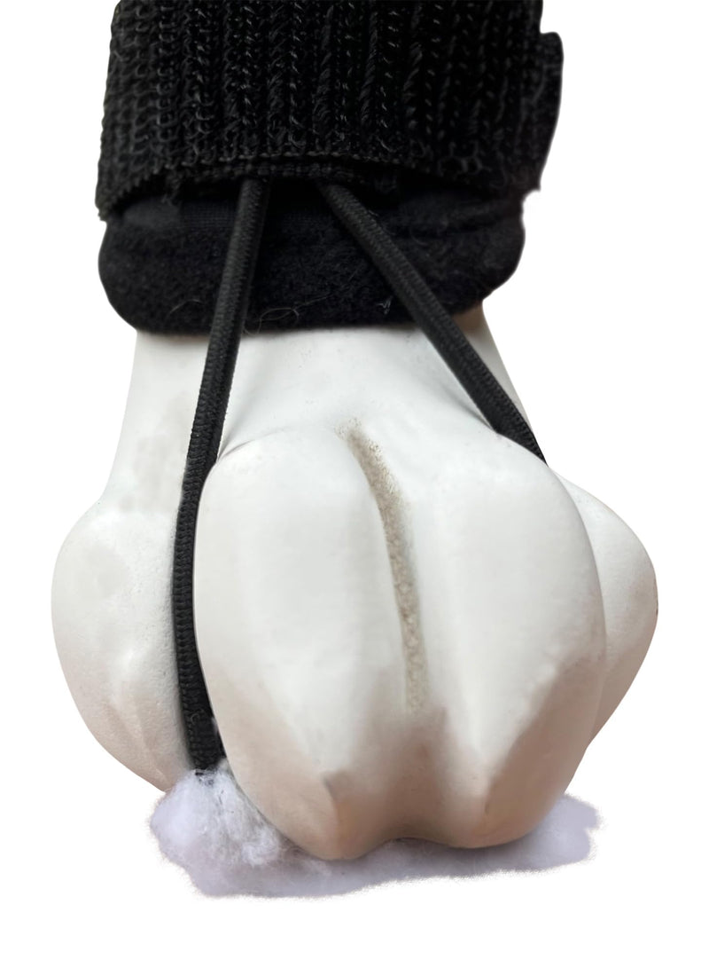 Labra Dog Canine Knuckling Corrector Toe Dragging Brace Wrap for Front or Rear Back Leg Paw L/XL - PawsPlanet Australia