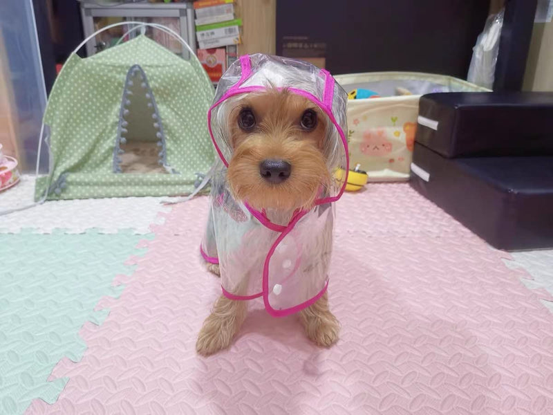Pet Raincoat,Small Dog Waterproof Puppy Raincoat Coat Transparent Pet Dog Rainwear Clothes for Small Dogs Cats (L, Pink) L-Back 11.8'' For <10lb dogs - PawsPlanet Australia