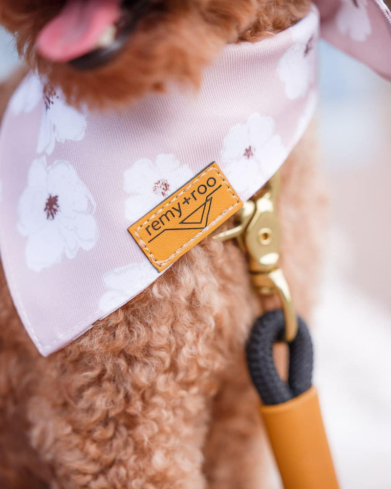 Remy+Roo Manhattan Black Heavy Duty Dog Leash - 5 ft, Custom Waste Bag Ring, Double Stitched Leather, Lobster Clasp, Brass Finish - Suitable for Large, Medium & Small Dogs - PawsPlanet Australia