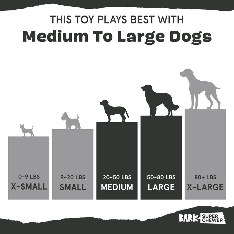 Barkbox Pupkin Spice Latte Plush Dog Toy – Plush Dog Toys – Puppy and Pet Toys for Medium to Large Dogs M/L - PawsPlanet Australia