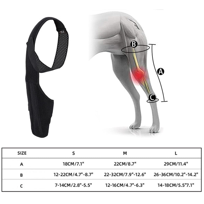 Dog Hip Support | Dog Leg Protection - Metal Strip Rear Leg Support - Breathable Rear Leg Support for Large Dogs Black M