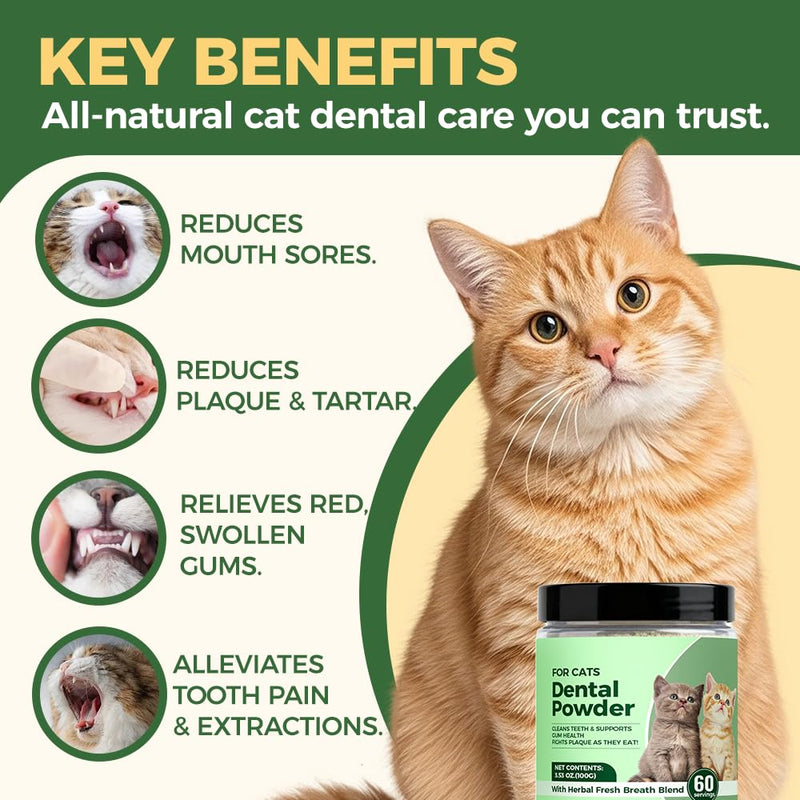 Dental Powder for Cats, Cat Dental Powder with Probiotics & Seaweed for Cats Teeth & Breath Support, 60-Day Supply (1) 1