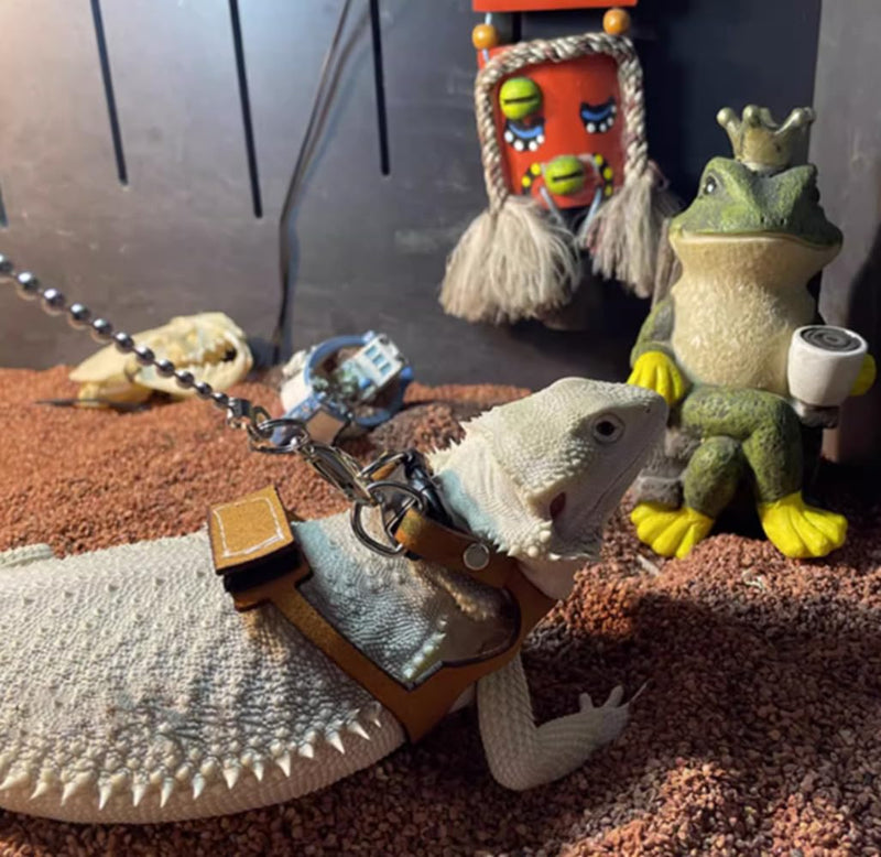 Bearded Dragon Harness and Leash Adjustable(M,L,XL) - Soft Leather Reptile Lizard Leash Accessories for Bearded Dragon, Lizard and Other Small Pets (XL) XL - PawsPlanet Australia