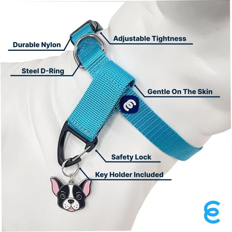 Blueberry Pet Essentials Matching Medium Dog Collar & Key Holder Set | Adjustable Classic Solid Color Nylon Collars for Medium Dogs w/Key Holder for Pet Owners Turquoise + Key Holder - PawsPlanet Australia