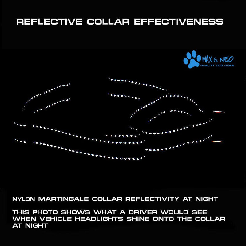 Max and Neo Nylon Martingale Collar - We Donate to a Dog Rescue for Every Collar Sold (Small, Orange) Small - PawsPlanet Australia
