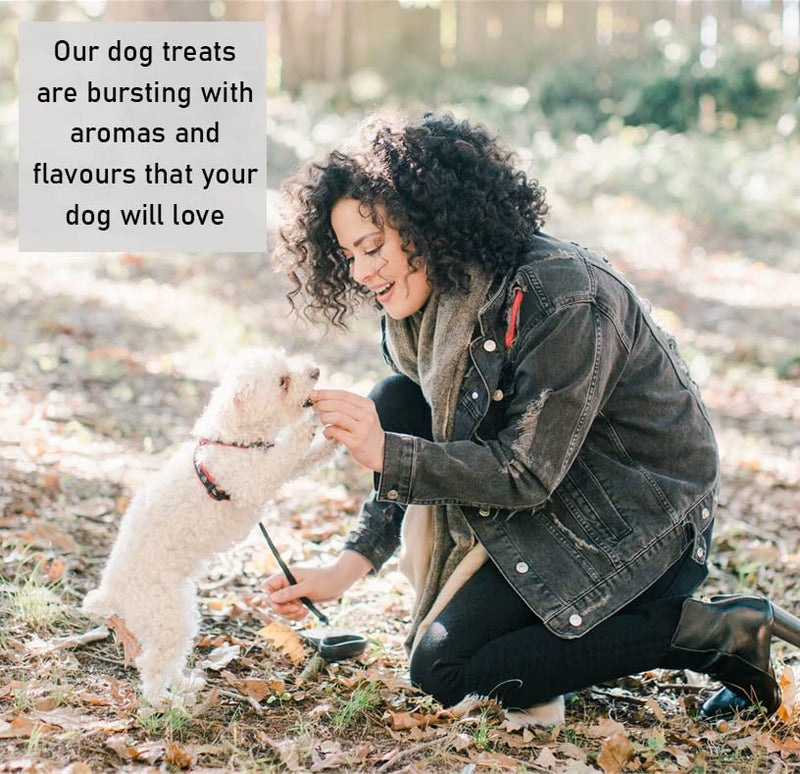 10 x Large Toothbrush Vegetarian Dog Treats Chews 100% Meat-Free 100% Natural Vegetable Toothbrushes DCP