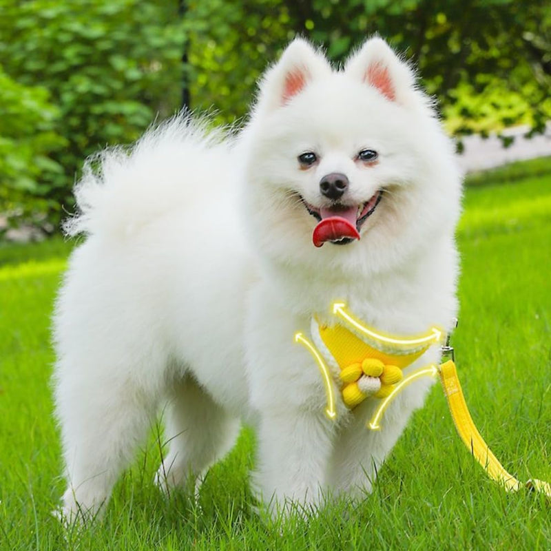 No-Pull Small Dog Harness with Leash Set, Cute Flower Vest, Escape-Proof & Breathable for Puppy Walking,Soft & Lightweight Pet Lead (Yellow, S fits 4-6lb) Yellow - PawsPlanet Australia