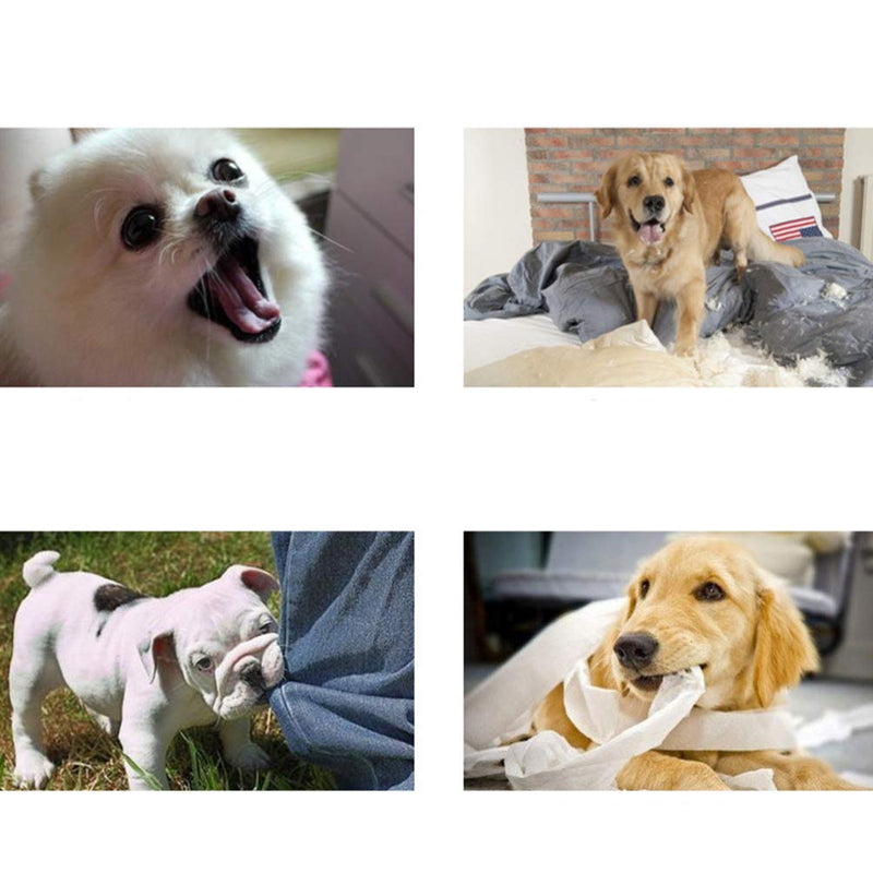 balacoo 2Pcs Pet Training Stick Rubber Paw Shape Dog Training Pat Cat Whip Pet Training Tool Dog Training Tool for Dog Puppy Cat (Random Color) - PawsPlanet Australia