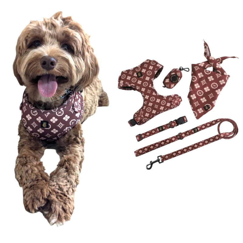 Luxury Designer Adjustable Dog Harness, Leash, Poop Bag Holder/Dispenser and Bandana Set, No Pull, Soft Mesh Padded, for Small/Medium Dogs, Outdoor Walking/Running (Extra Small, Chewy Pawtton) Extra Small - PawsPlanet Australia