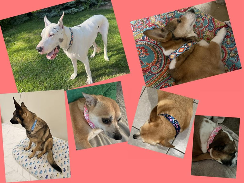 Chain Martingale Dog Collar, No Slip Choke Collar for Dogs Adjustable Buckle Stainless Steel Training No Pull Dog Choker Collar for Small Medium Large Pets Boys Girls Male Female, Skull L L(Neck 19"-24")