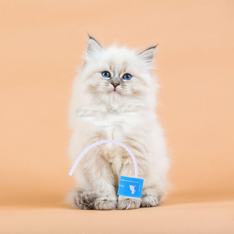 MAGICLULU Blood Pressure Cuff for Pets, Cats and Animals, with Plastic and Fabric, Easy to Use, Accurate Measurement, For Home Use by Pet Owners
